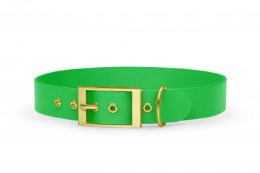 Obojek pro psa Adventure - neonově zelený se zlatými komponenty